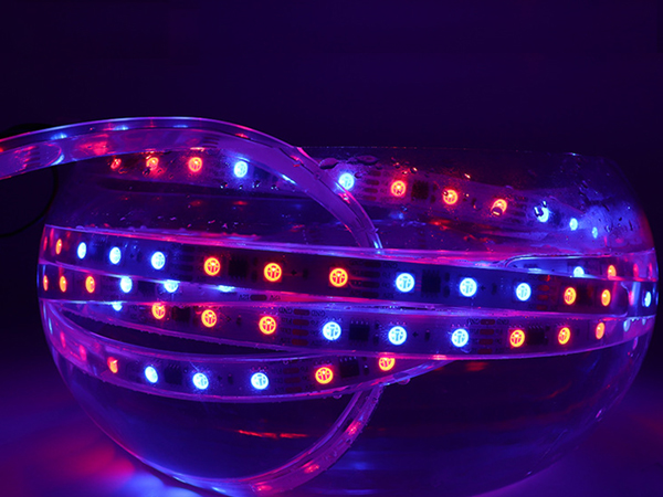 16703幻彩灯条60灯